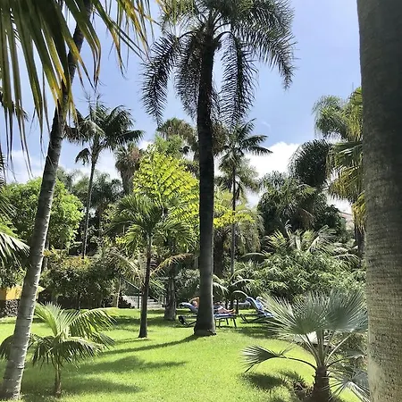 Tigaiga