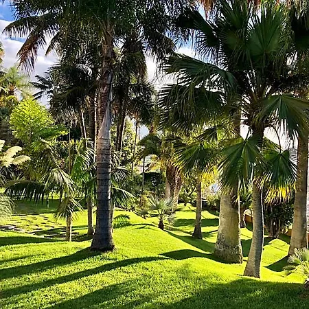 Hotel Tigaiga 4*