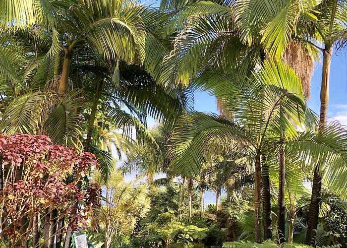 Tigaiga 4* Puerto de la Cruz (Tenerife)